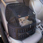 Designer Small Dogs Accessories by Fashion Houndz