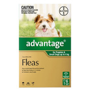 Flea and Tick control - Advantage for Small Dogs