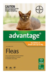 Buy Advantage For Cats - Flea Control & Tick Treatment for Cats