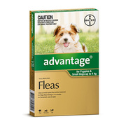 Buy Advantage For Small Dogs 4 Kg Green Pack | Low Prices