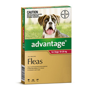 Buy Advantage For Large Dogs 10-25KG 6 Pack Red | DiscountPetCare