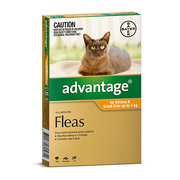 Buy Advantage For Kittens & Small Cats Up To 4kg Orange