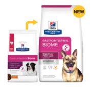 Buy Hill's Prescription Diet Gastrointestinal Biome Dry Dog Food