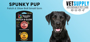Buy SPUNKY PUP FETCH & GLOW BALL Small (5cm) 2 Pack Online