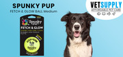 Buy SPUNKY PUP FETCH & GLOW BALL Medium (6cm) 1 Pack Online
