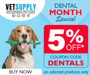 Pet Dental Health Month Sale 2023 | Huge Discounts on Pet Supplies 