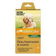 Buy Advocate for Dogs Small Green Up To 4kg 1 Dose Online