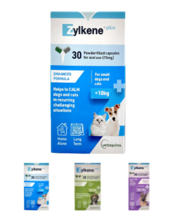 Zylkene Plus Calming Supplement for Dog - VetSupply