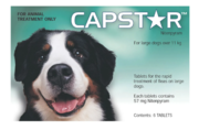 Buy Capstar For Large Dogs over 11Kg (Green) Online