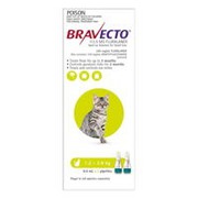 Buy Bravecto Spot On For Small Cats (1.2 - 2.8 kg) Light Green Pack at